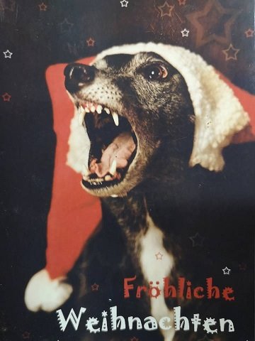 weihnachten.jpg