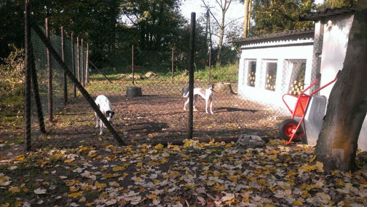 IMAG0984.jpg