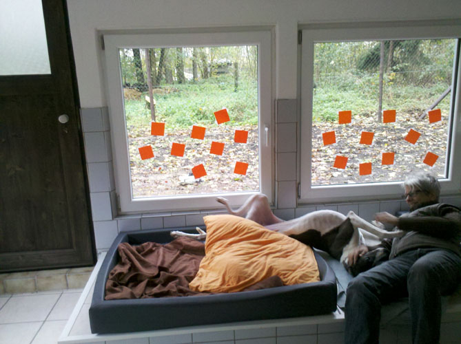 2013-11-02_14-44-17_382.jpg
