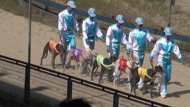 DSC00967-1.jpg