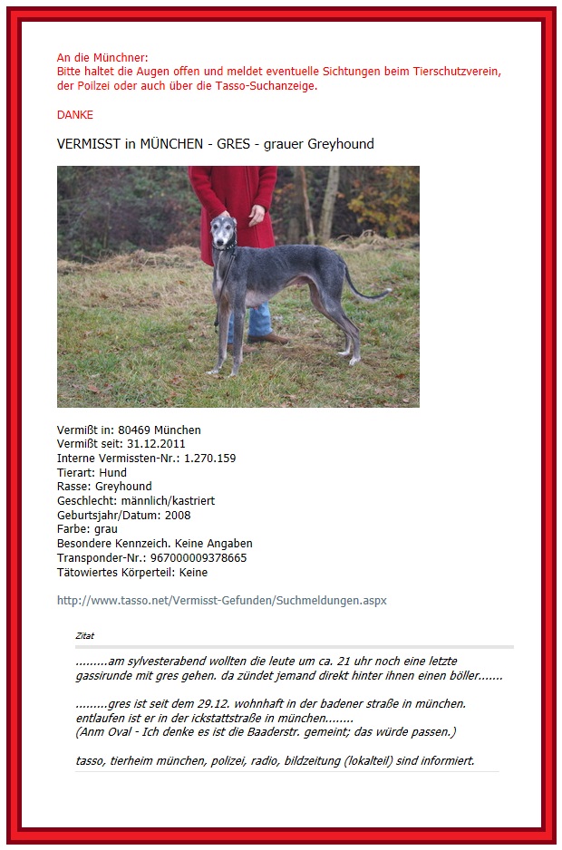 Grauer Greyhound GRES wird gesucht.jpg