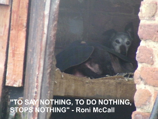 tosaynothing2-1.jpg