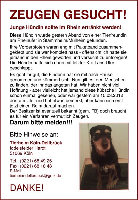 hündin.jpg