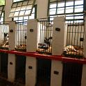 Morocco%20Track%20Kennels.jpg