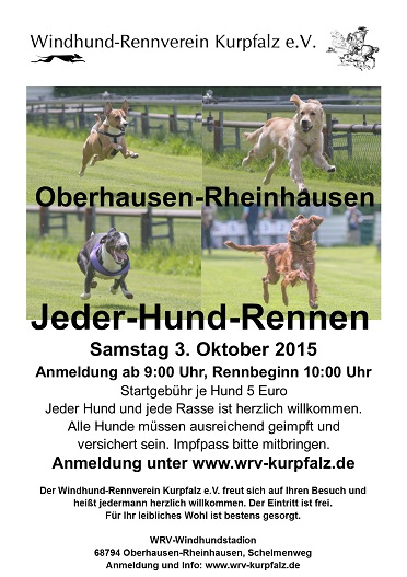 Jederhund-Rennen_Oktober.jpg